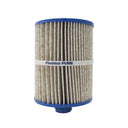 Master Spas Filter Original EcoPur